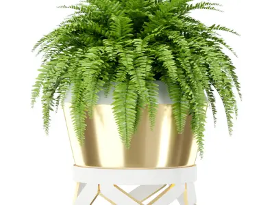 Plants collection 413 3D model