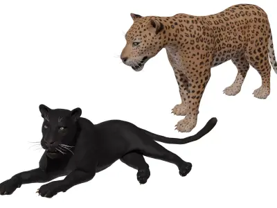 Leopard Low-poly 3D model buy