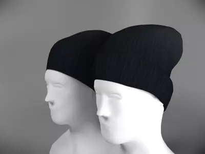 Two caps Low-poly 3D model