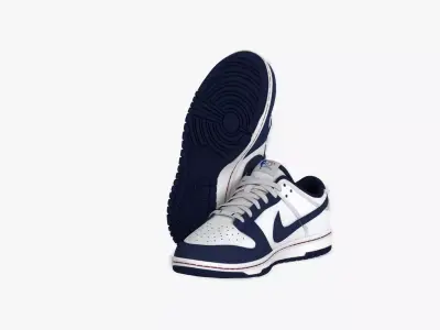 NBA x Nike Dunk Low EMB Low-poly 3D model