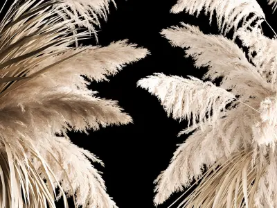 Hanging Bouquet Of Dry Reeds For Decoration 2 3D model