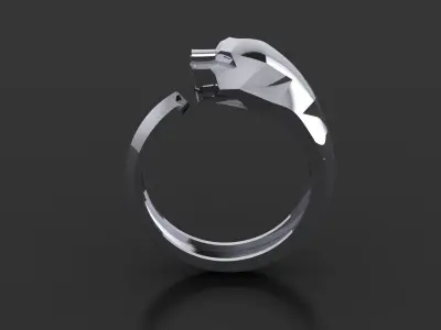 Ring Tiger 3D print model