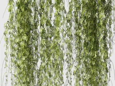 Plant leaf partition or screen 3D model