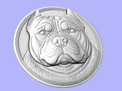 MOEDA PITBULL 3D model