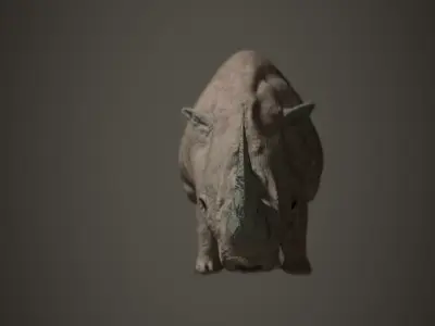 Animal rhinoceros Low-poly 3D model