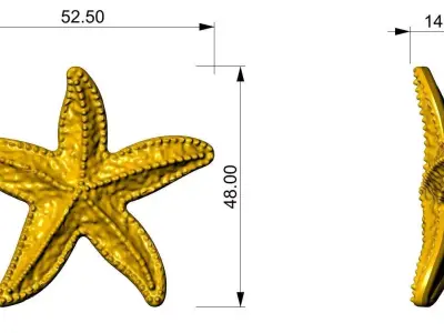 Sea Moon Ornament Elegant  Decorative Piece for Luxury Footwear 3D print model