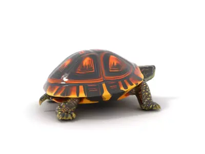 Radiant Tortoise Shell model pack Low-poly 3D model