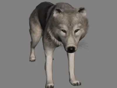 Wolf Animations-Lowpoly-Game Ready Low-poly 3D model