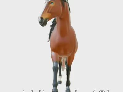 Bay Arabian Horse with Brown Coat and Black Mane Low-poly 3D model
