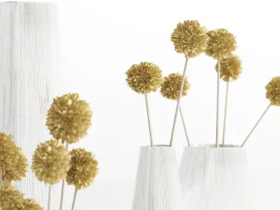 Vases with dried flowers 3D model
