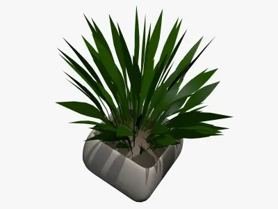 Plant in a Pot 3D model