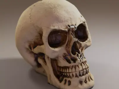 Small Decorative Skull - 3D Scan Low-poly 3D model