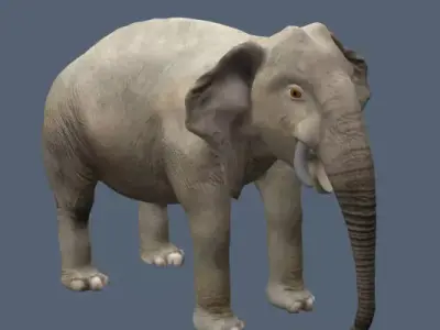 ELephant Low-poly 3D model