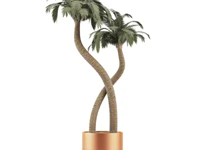 Plants Collection 135 Palm 3D model