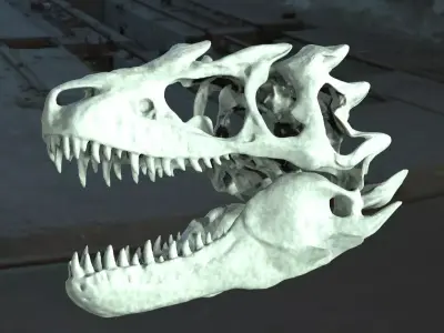 T Rex  scull 3D model