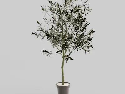 Faux Potted Olive Tree Large 3D model