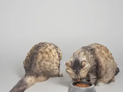 Fluffy cat 22 Low-poly 3D model