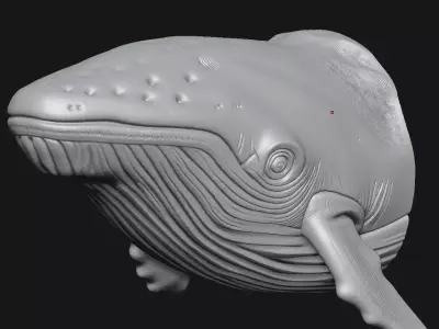 whale 3D print model