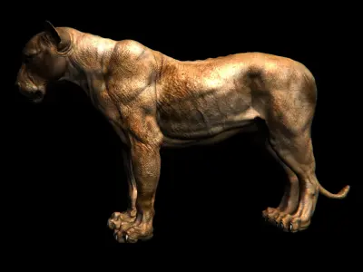 Animals - Lion 3D model