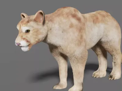 puma 3d lion 3D model