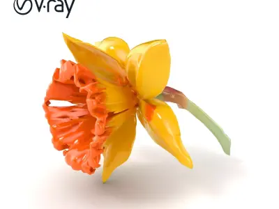 Yellow Narcissus with Apricot Trumpet model pack Low-poly 3D model