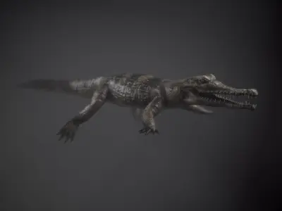 PBR Lowpoly Realistic Crocodile optimized for application Low-poly 3D model