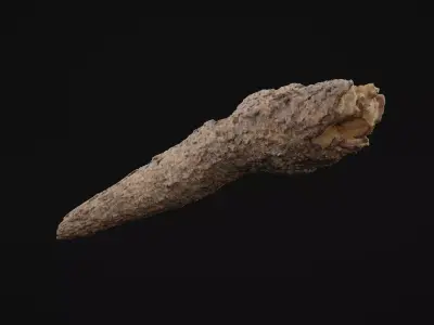 Pine Wood Debris Low-poly 3D model