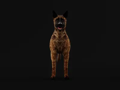 Dutch Shepherd Dog Low-poly 3D model