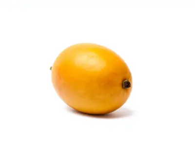 Realistic Mango Fruit Model Pack Low-poly 3D model