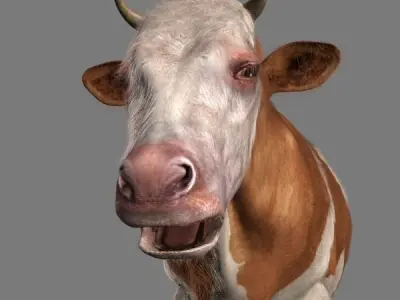 Top Cow - 3d model 3D model