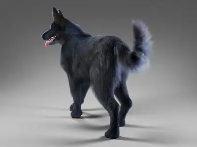 Fur Black Dog Rigged Low-poly 3D model