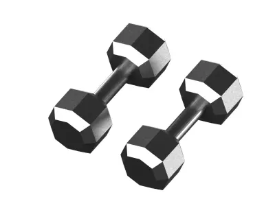 Dumbbells two 3D model purchase