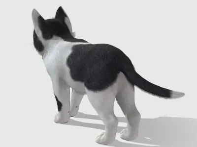 Kitten - Simple Low-poly 3D model