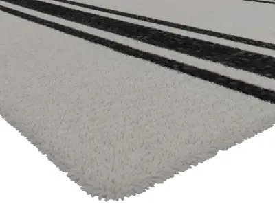 Rug Set 1842 3D model