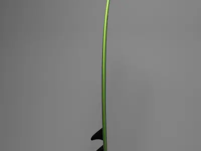 SURFBOARDING SOUTH AFRICA 3D model