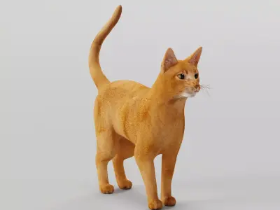 Abyssinian Ginger Cat 3D model