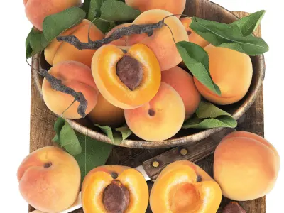 fruit set collection 04 3D model