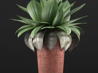 Plants Collection 78 3D model