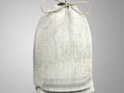 Nice  Bag Free low-poly 3D model