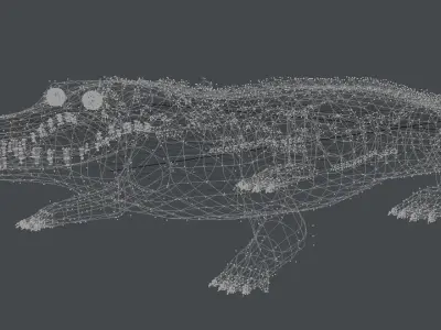 Alligator 3D model