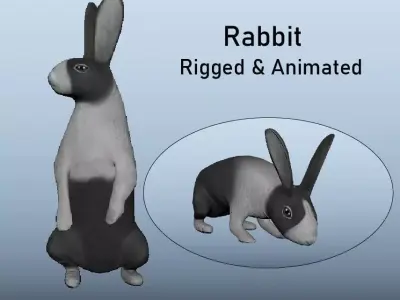 Rabbit Animated VFX Grace Low-poly 3D model