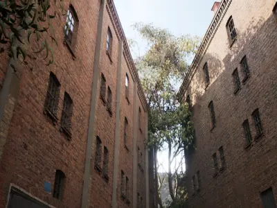 Nature Way - Unreal Engine Environment Low-poly 3D model