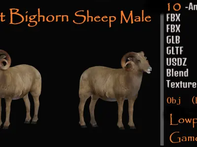 Desert Bighorn Sheep Male Low-poly 3D model