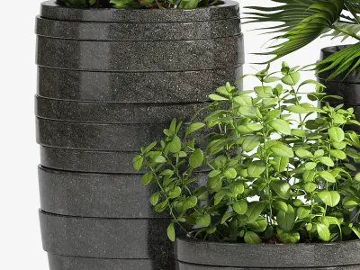 Decorative plant set-25 3D model