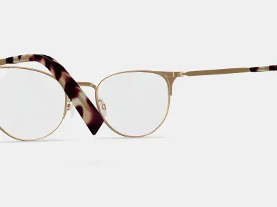 Ava Eyeglasses in Polished Gold with Brushed Navy 3D model