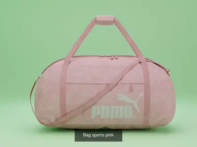 Sport bags 3D Model Pack
