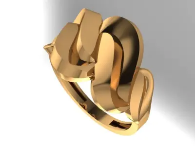 lite 21k ring 3D print model