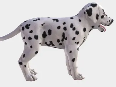 Puppy - Dalmatian Low-poly 3D model