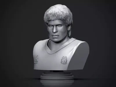 Diego Maradona 3D Printable Bust 3D print model