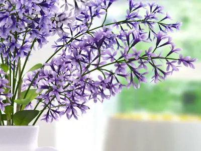 Lavender dev 3D model